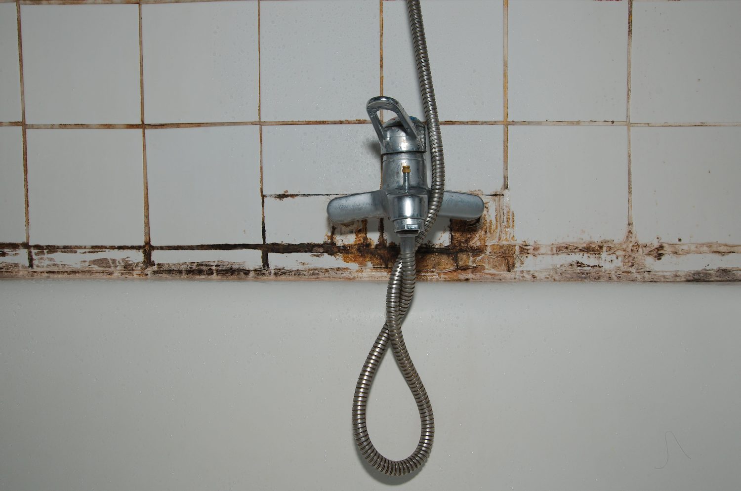 Renovasi Kamar Mandi